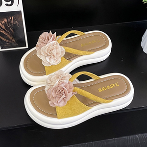 BH935 French-style platform sandals for women, new summer 2025, fashionable, perfect for vacation, beach, and pairing with skirts.